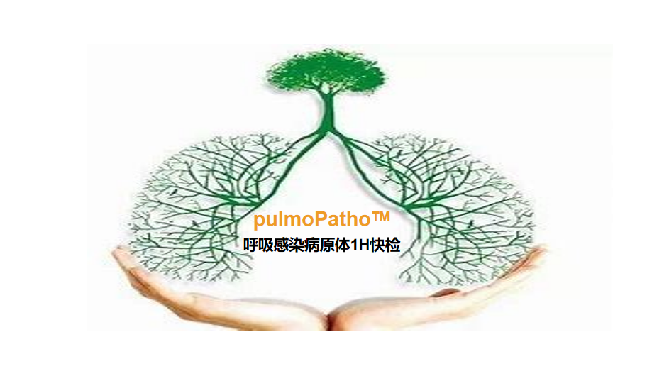 pulmoPatho，呼吸感染病原谱